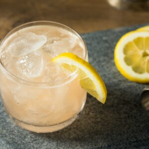 Boozy Sour Gin Fitzgerald Cocktail